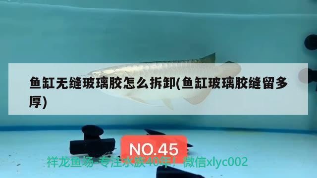 魚缸無縫玻璃膠怎么拆卸(魚缸玻璃膠縫留多厚)