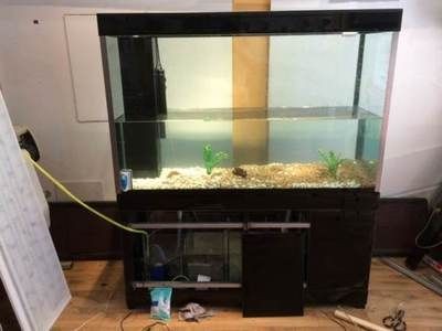 敞開式魚缸用每天加水嗎：敞開式魚缸加水的正確方法