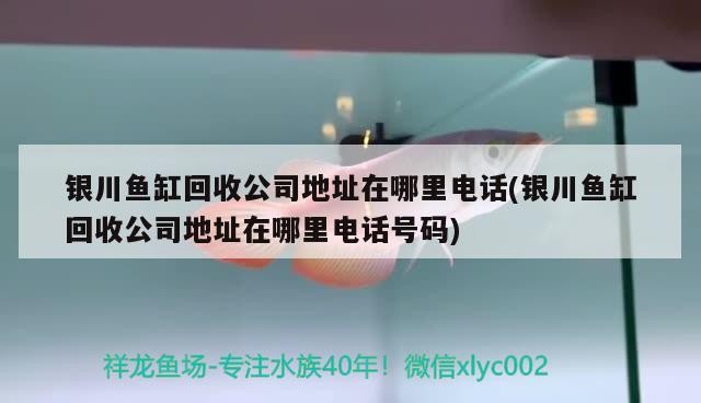 銀川魚缸回收公司地址在哪里電話(銀川魚缸回收公司地址在哪里電話號碼)