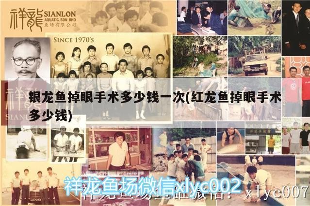 銀龍魚掉眼手術多少錢一次(紅龍魚掉眼手術多少錢)