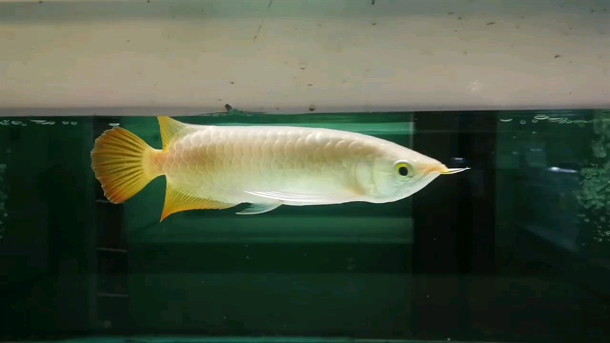 小是小，身材好