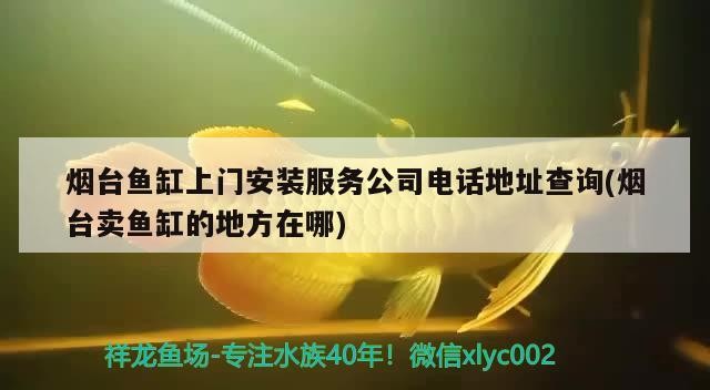 煙臺魚缸上門安裝服務(wù)公司電話地址查詢(煙臺賣魚缸的地方在哪)