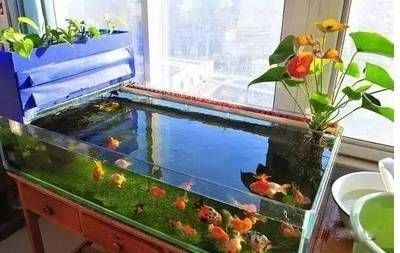 大型diy魚缸制作過程視頻：大型diy魚缸制作過程