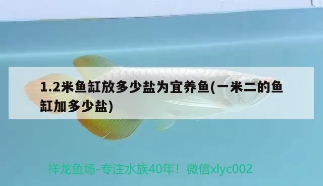 1.2米魚缸放多少鹽為宜養(yǎng)魚(一米二的魚缸加多少鹽) 1.2米魚缸放多少鹽為宜養(yǎng)魚(一米二的魚缸加多少鹽) 豬鼻龜百科