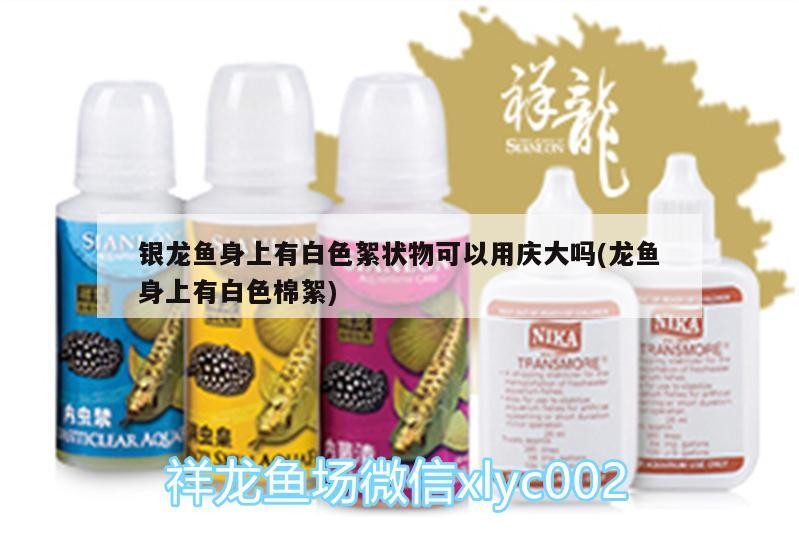 銀龍魚身上有白色絮狀物可以用慶大嗎(龍魚身上有白色棉絮) 銀龍魚身上有白色絮狀物可以用慶大嗎(龍魚身上有白色棉絮) 銀龍魚百科