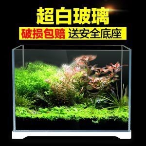 龍魚掉眼手術后的恢復時間，龍魚掉眼手術后恢復時間