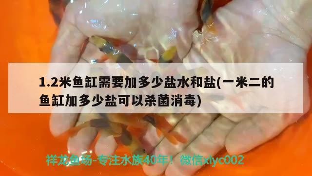 1.2米魚缸需要加多少鹽水和鹽(一米二的魚缸加多少鹽可以殺菌消毒) 1.2米魚缸需要加多少鹽水和鹽(一米二的魚缸加多少鹽可以殺菌消毒) 紅龍魚百科 第2張
