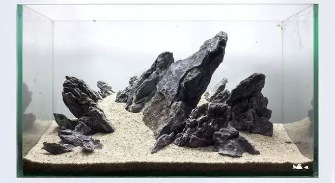 慈鯛魚(yú)缸造景石頭擺放位置：對(duì)于慈鯛魚(yú)缸造景石頭的擺放位置，以下幾個(gè)建議是非常重要的