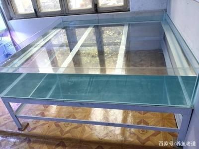 不想用的魚缸怎么處理掉水垢：在處理魚缸水垢時，需要注意以下幾種方法，希望對你有所幫助