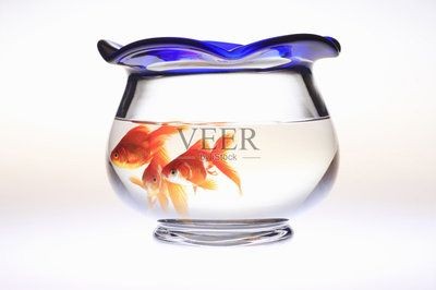 大型圓形魚缸制作視頻：圓形魚缸造景的注意事項