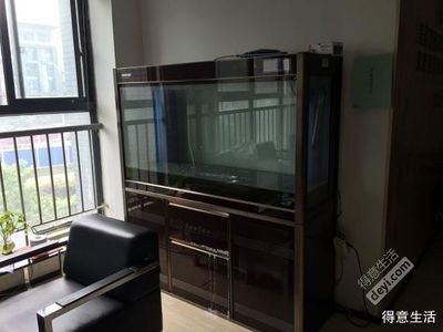 大魚缸搬家是怎么運用的：大魚缸搬家注意事項和注意事項和注意事項和注意事項