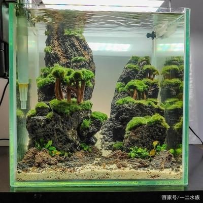 1.2米魚(yú)缸造景圖片大全及價(jià)格表：1.2米魚(yú)缸造景圖片大全價(jià)格表