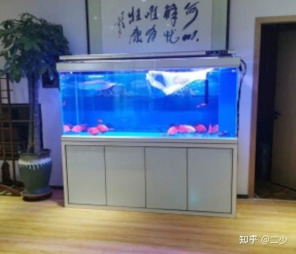 大型魚缸品牌質量最好的都有什么品牌:大型魚缸品牌哪個牌子好