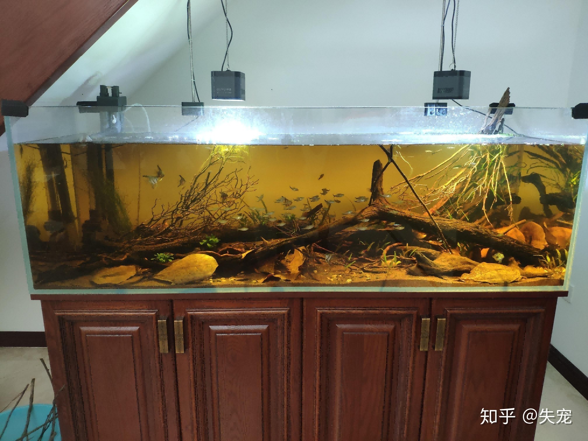 大型魚缸品牌質量最好的都有什么品牌:大型魚缸品牌哪個牌子好