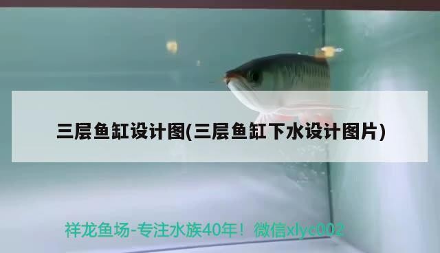 三層魚缸設計圖(三層魚缸下水設計圖片)
