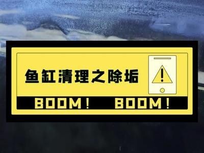 大魚缸怎么清理底部水垢：如何清洗大魚缸水垢？