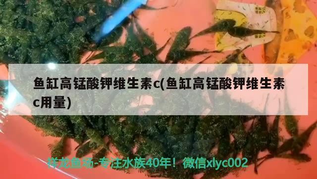 魚缸高錳酸鉀維生素c(魚缸高錳酸鉀維生素c用量)