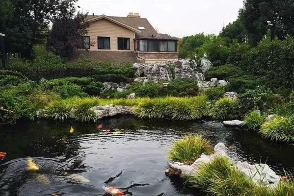 婁底市經(jīng)濟(jì)開發(fā)區(qū)南海觀賞魚水族館（婁底市經(jīng)濟(jì)開發(fā)區(qū)南海觀賞魚水族館電話）