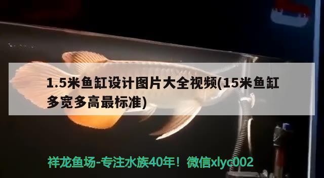 1.5米魚缸設計圖片大全視頻(15米魚缸多寬多高最標準)