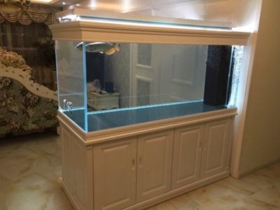 超白玻璃做魚缸易碎嗎：玻璃家族的“水晶王子”——超白玻璃