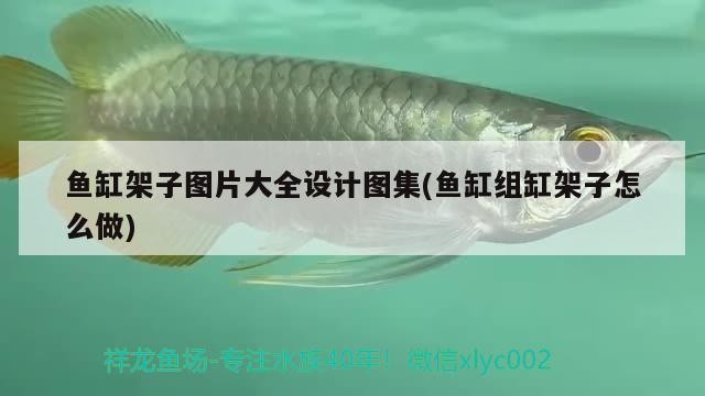 魚缸架子圖片大全設計圖集(魚缸組缸架子怎么做)