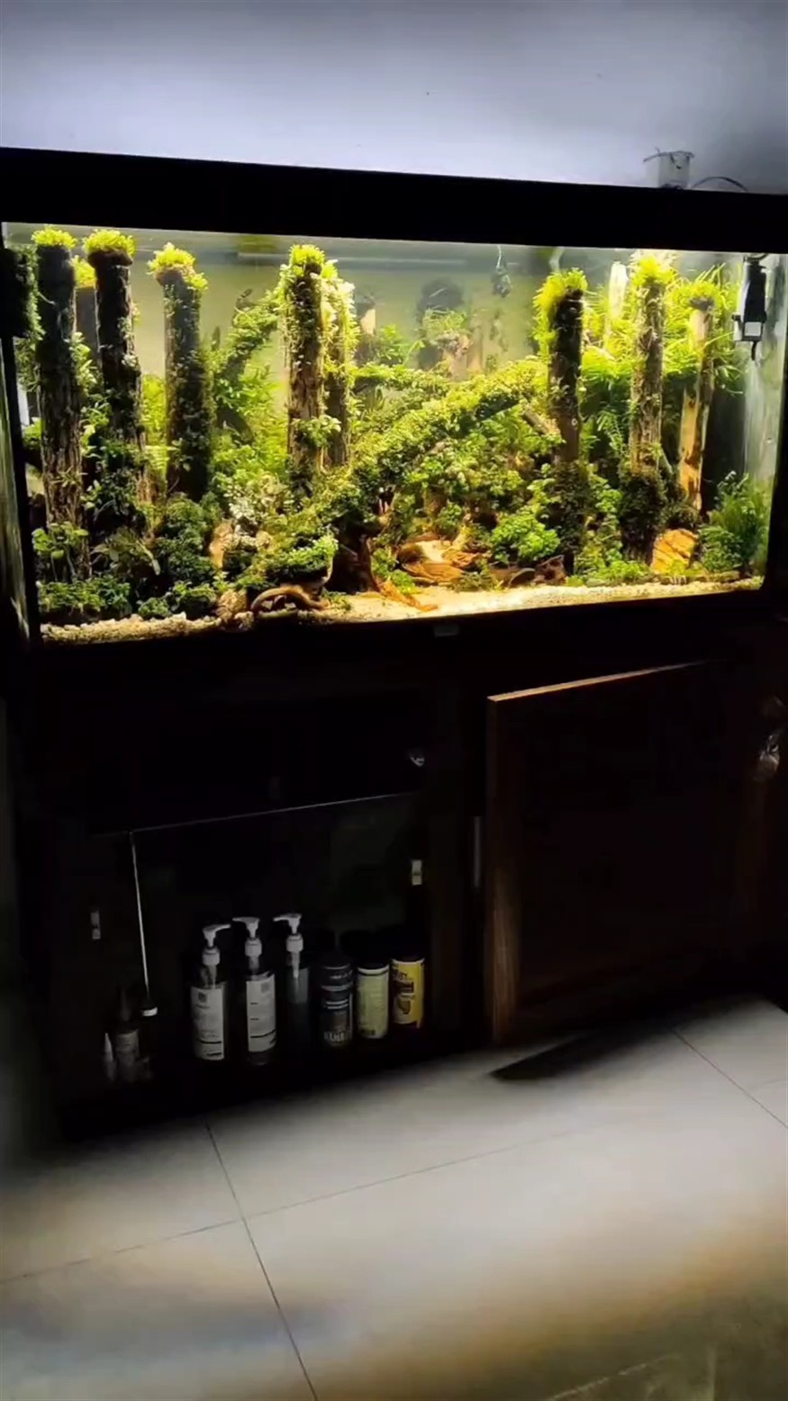 全景