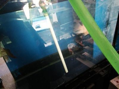 大蘇打魚缸怎么用視頻播放：如何在魚缸中使用大蘇打