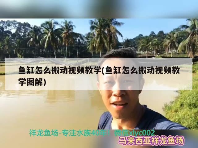 魚缸怎么搬動視頻教學(魚缸怎么搬動視頻教學圖解)