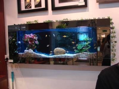玻璃魚缸造景效果圖：玻璃魚缸造景效果圖玻璃魚缸造景設計要點和效果圖
