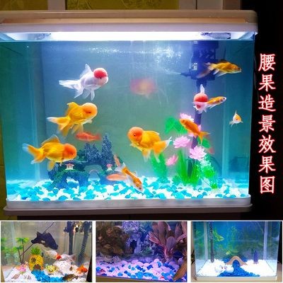 玻璃魚缸造景效果圖：玻璃魚缸造景效果圖玻璃魚缸造景設計要點和效果圖