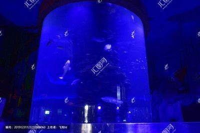 玻璃柱魚(yú)缸效果圖：玻璃柱魚(yú)缸效果圖大全