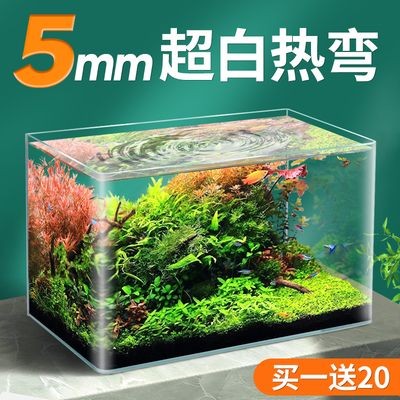 北方魚缸水草繁殖基地在哪里：北方魚缸水草繁殖基地