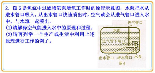 延吉市華僑花卉炊具市場信譽水族攤床（延吉花卉批發市場電話）