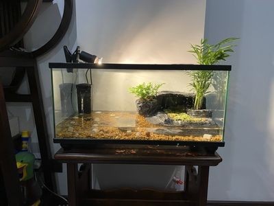 大型魚缸漏水如何修補(bǔ)好視頻：如何修補(bǔ)大型魚缸漏水
