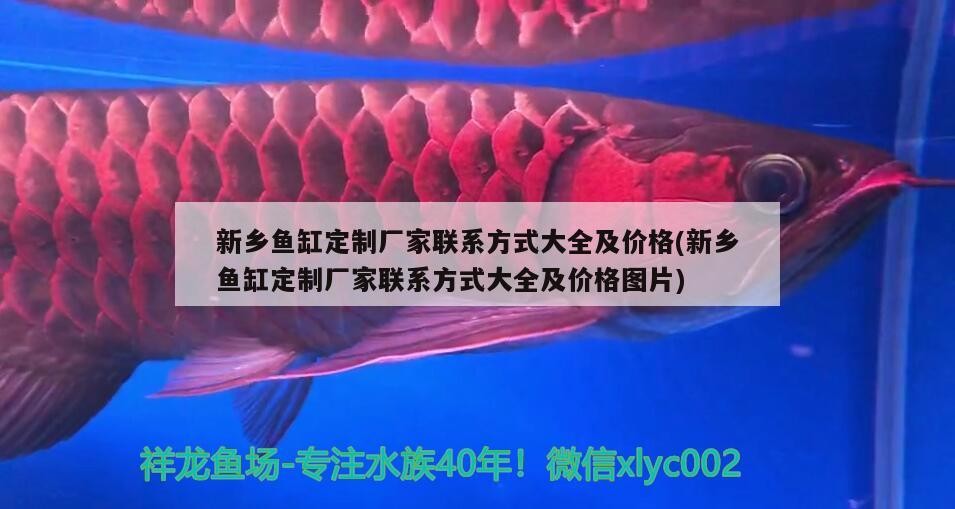 新鄉魚缸定制廠家聯系方式大全及價格(新鄉魚缸定制廠家聯系方式大全及價格圖片)
