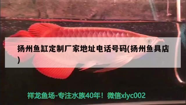 揚(yáng)州魚缸定制廠家地址電話號碼(揚(yáng)州魚具店)
