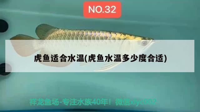 虎魚適合水溫(虎魚水溫多少度合適)