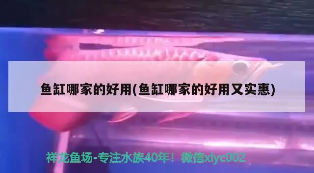魚缸哪家的好用(魚缸哪家的好用又實惠)