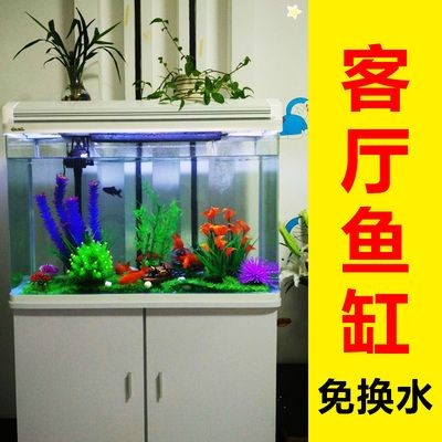 冬天怎么給魚缸換水：冬天給魚缸換水的注意事項