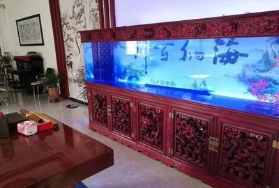 大缸改造魚缸好嗎視頻：關于大缸改造魚缸的視頻教程