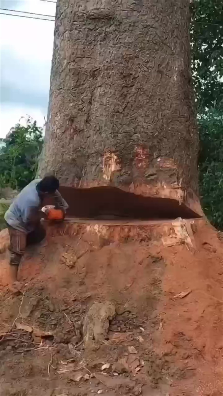 茶臺