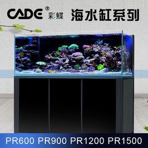 背濾魚缸設(shè)計(jì)方案：背過濾魚缸的設(shè)計(jì)原理