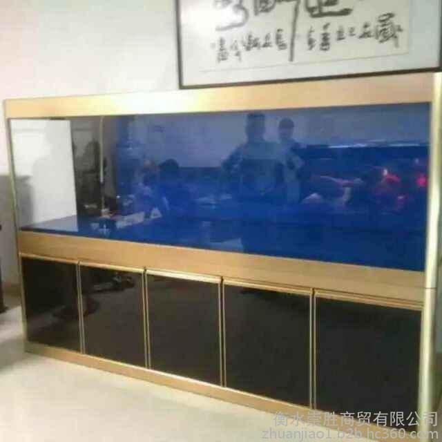 大型景觀魚(yú)缸設(shè)計(jì)：關(guān)于大型景觀魚(yú)缸設(shè)計(jì)的一些建議
