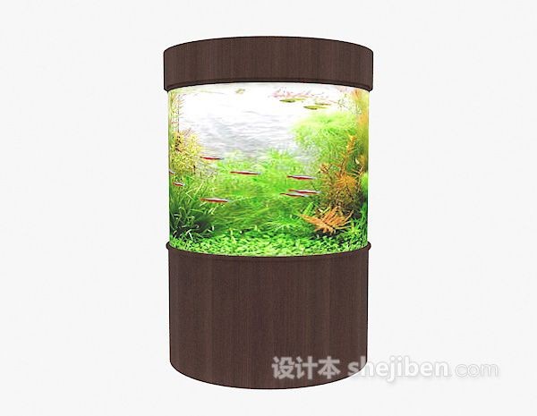 大魚缸如何造景好看又簡單的