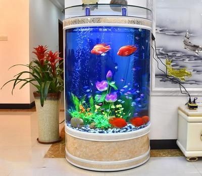 半圓形魚缸好不好：半圓形魚缸在風(fēng)水學(xué)中被認(rèn)為是金形，但存在一些缺點(diǎn)