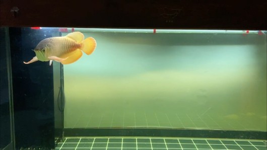 181天 滿水位了