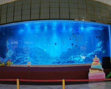 大型魚缸設計：大型魚缸材質的環保考量在設計大型魚缸材質的環保考量