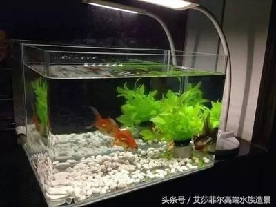 超白玻璃魚缸好不好看呢：超白玻璃魚缸的保養(yǎng)與清潔方法超白玻璃魚缸的用途與適用場景