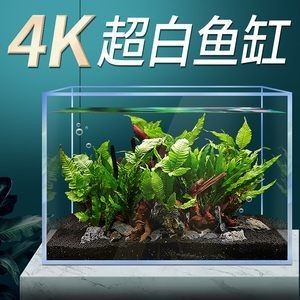 斗魚缸造景30缸好不好呢：30缸斗魚缸養護與管理養護與管理養護與管理養護