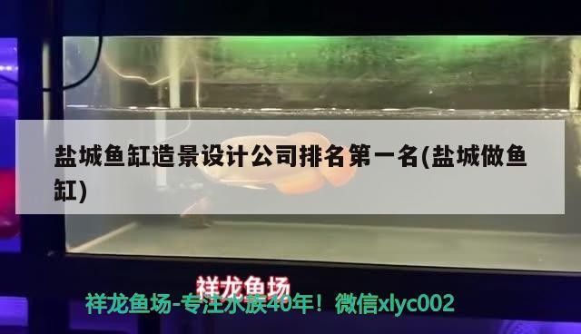 鹽城魚缸造景設計公司排名第一名(鹽城做魚缸)